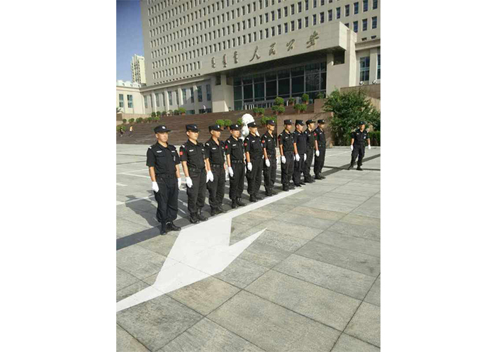 團(tuán)隊展示